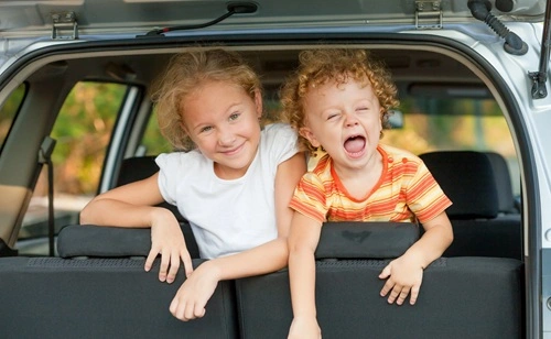 Leave Your Kids In The Car