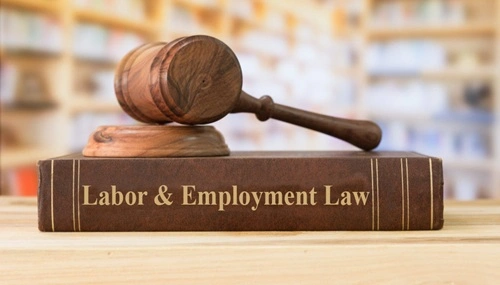 Employment Lawyer