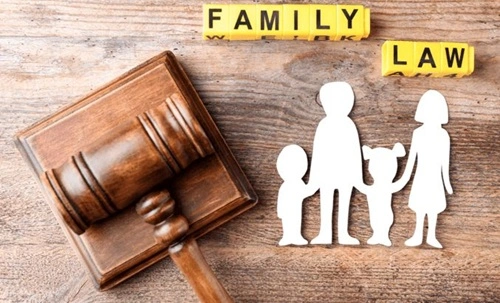 Family Lawyer